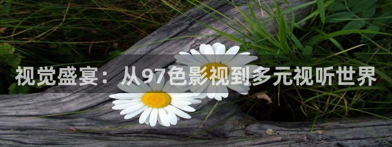 98电影院电视剧：视觉盛宴：从97色影视到多元视听世界