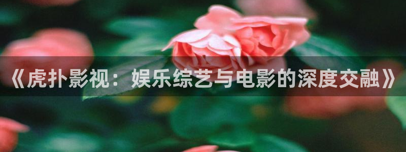 98电影院手机版：《虎扑影视：娱乐综艺与电影的深度交融》