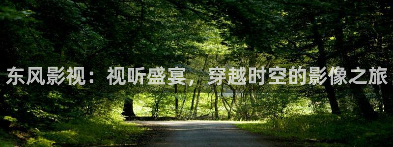 98k影院免费观看：东风影视：视听盛宴，穿越时空的影像之旅
