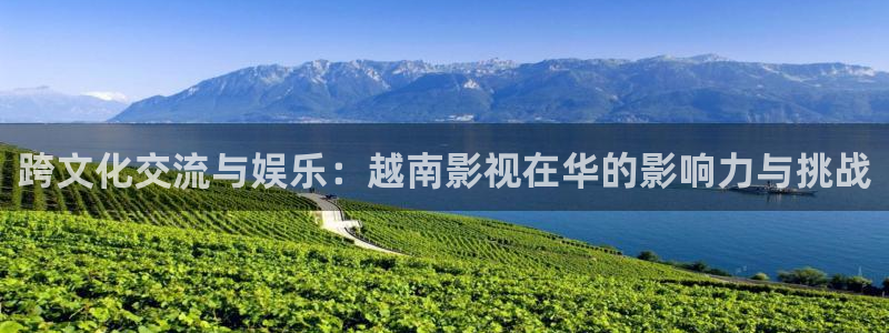 1988年的电影：跨文化交流与娱乐：越南影视在华的影响力与挑战