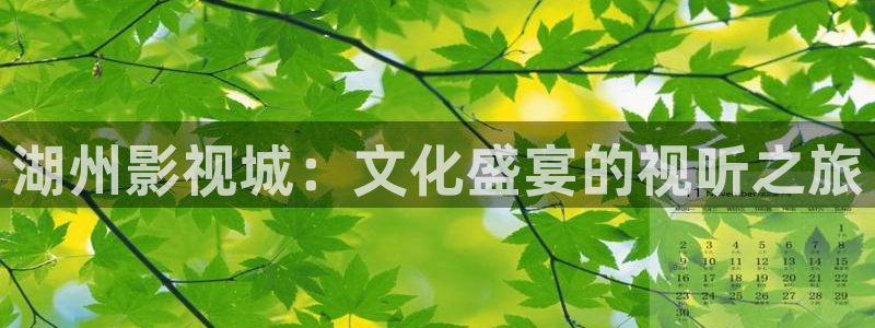 请回答1988高清完整版在线观看：湖州影视城：文化盛宴的视听之旅