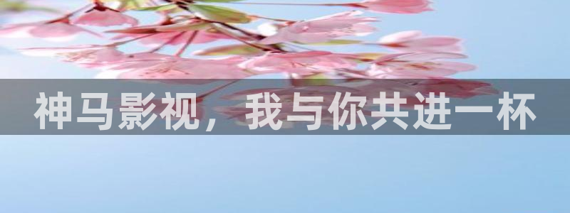 电视剧请回答1988全集在线观看免费：神马影视，我与你共进一杯