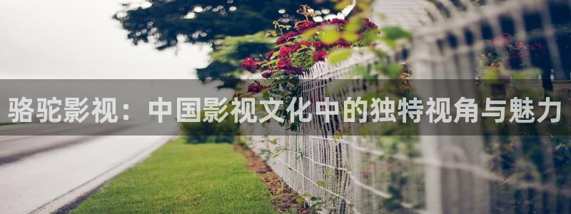 98k视频：骆驼影视：中国影视文化中的独特视角与魅力