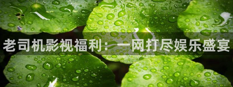 98影院伦理片：老司机影视福利：一网打尽娱乐盛宴