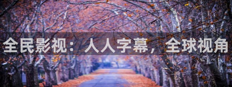 电视剧请回答1988全集在线观看免费：全民影视：人人字幕，全球视角