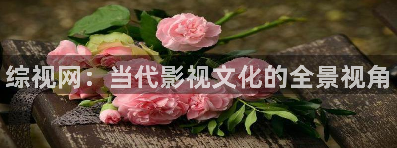 98久久久精品久久影院欧美：综视网：当代影视文化的全景视角
