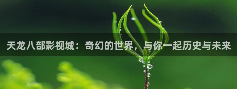 请回答1988免费全集在线观看：天龙八部影视城：奇幻的世界，与你一起历史与未来