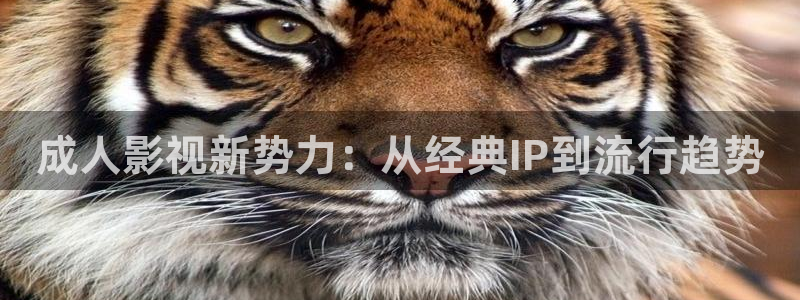 请回答1988全集完整版免费：成人影视新势力：从经典IP到流行趋势